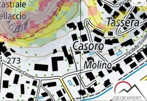  MESSA IN SICUREZZA VERSANTE FRANOSO IN LOCALITA' FIGINO (LUGANO)